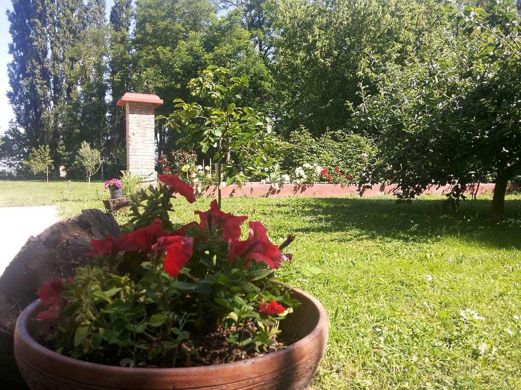 Alloggio Agrituristico Dodici-Apostoli Casumaro Dış mekan fotoğraf